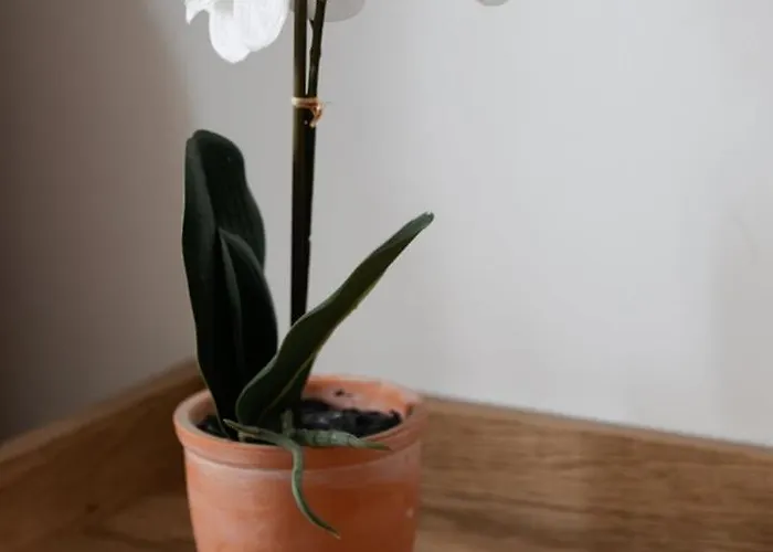 Bluestay 551 - Superb In Апартаменты Париж